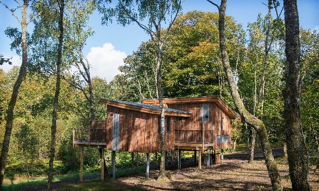 New treehouses at Lanrick house in trees