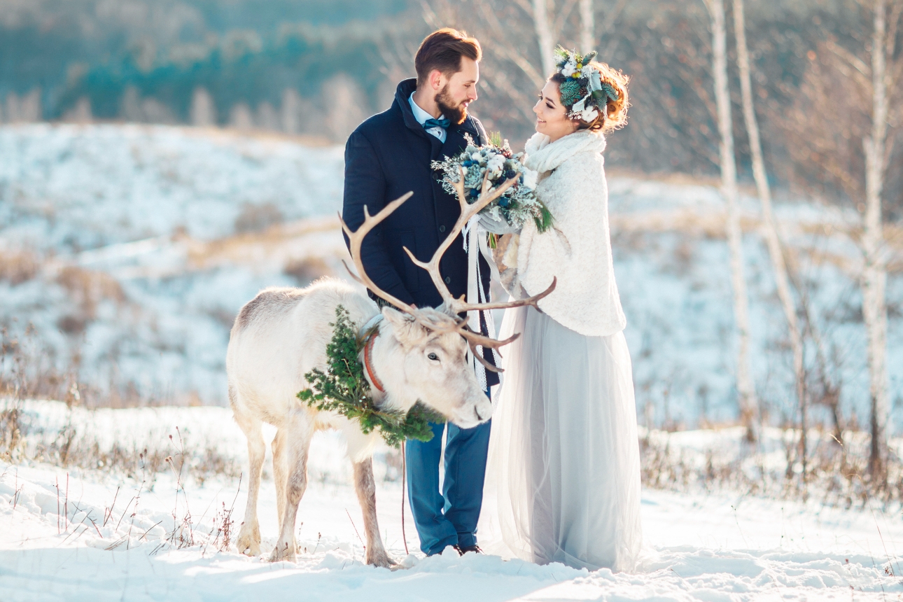 bride and groom outside in snow with reindeer